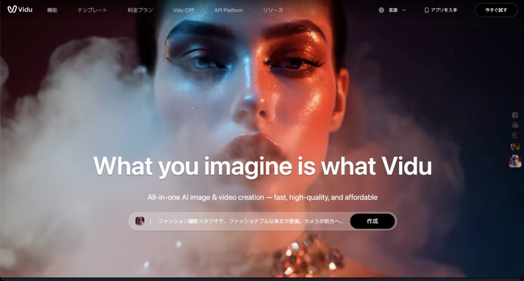 Omni Video Proの特徴