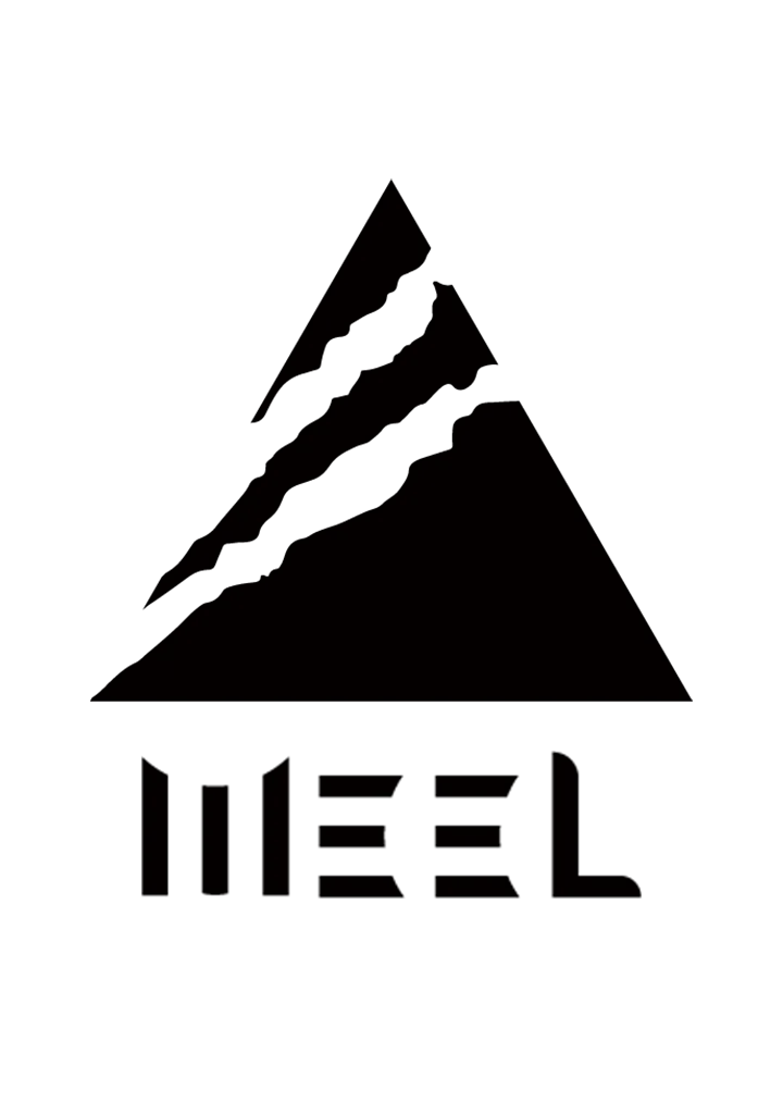 WEEL Logo