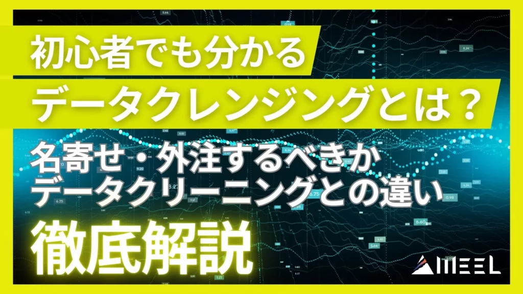 データクレンジング 名寄せ データクリーニング 違い 外注