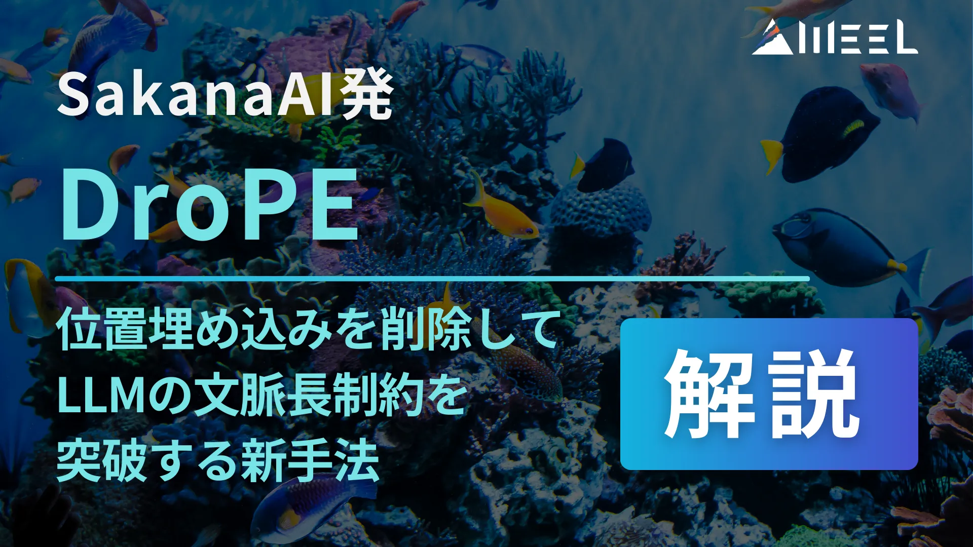 DroPE SakanaAI 位置 埋め込み 削除 LLM 文脈制約 突破 新手法 解説
