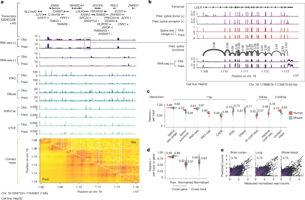 AlphaGenomeの概要