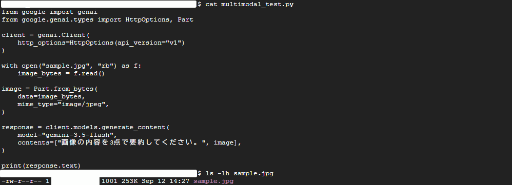 ローカル画像をGoogle Gen AI SDKでマルチモーダル入力するPythonコード
