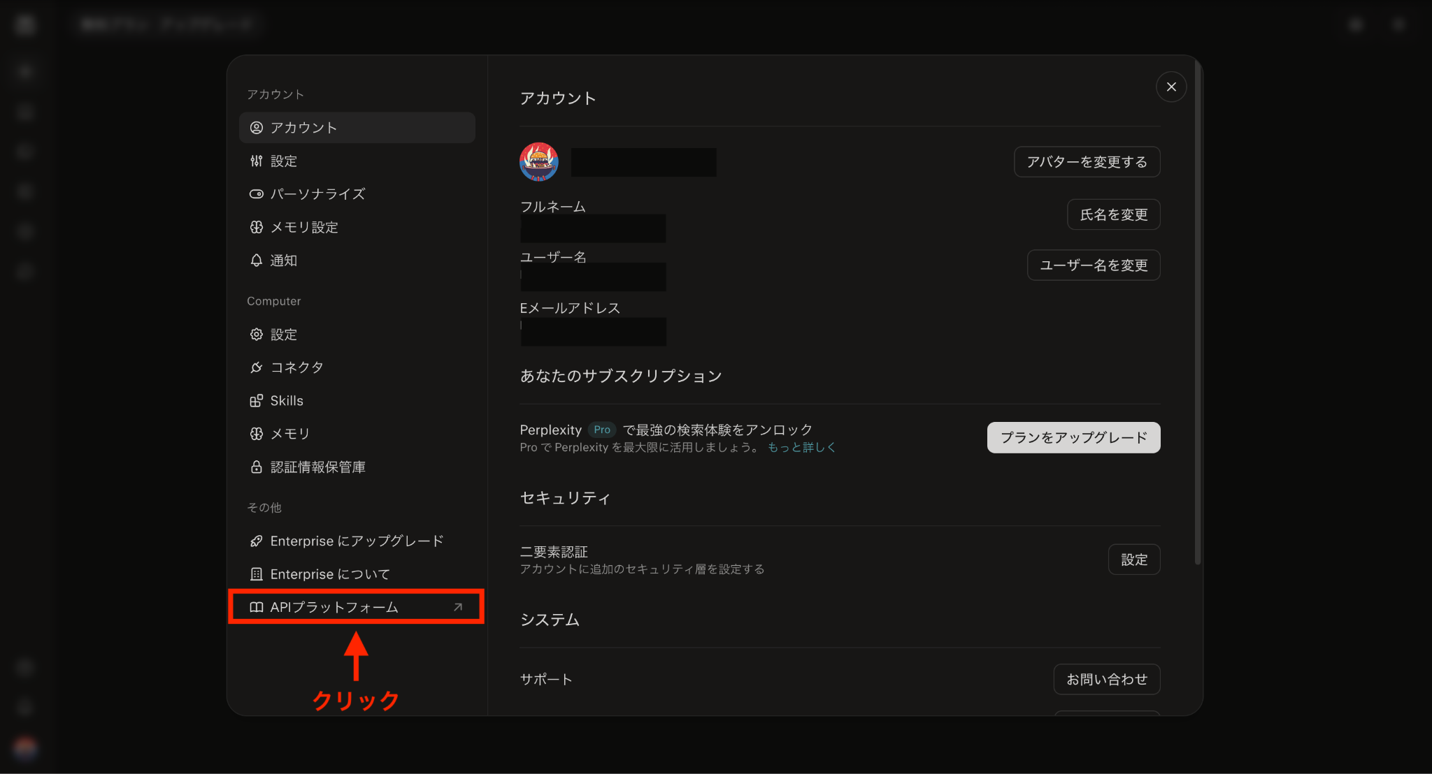 Perplexityの設定画面（APIプラットフォームボタン）