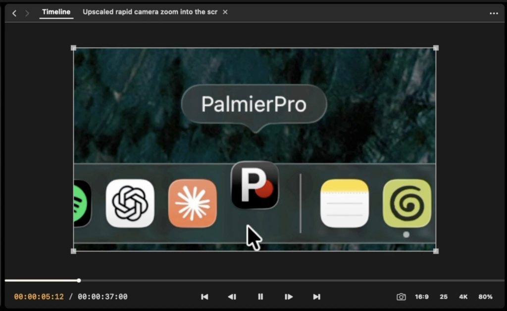 Palmier Proとは?