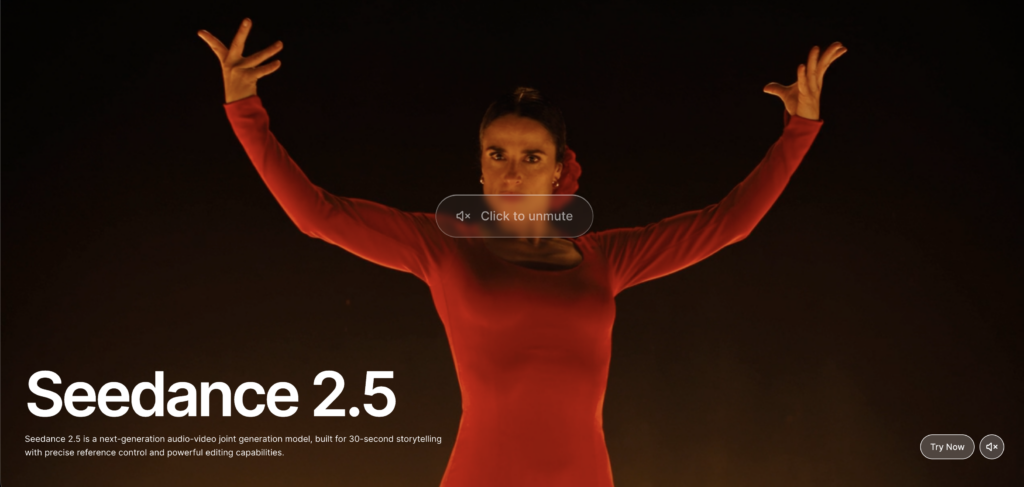 Seedance 2.5とは?